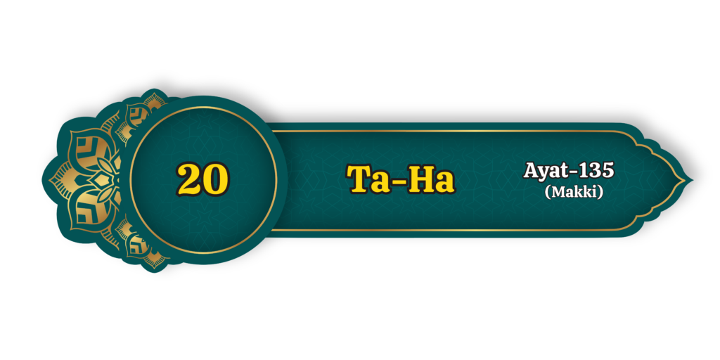 Ta Ha