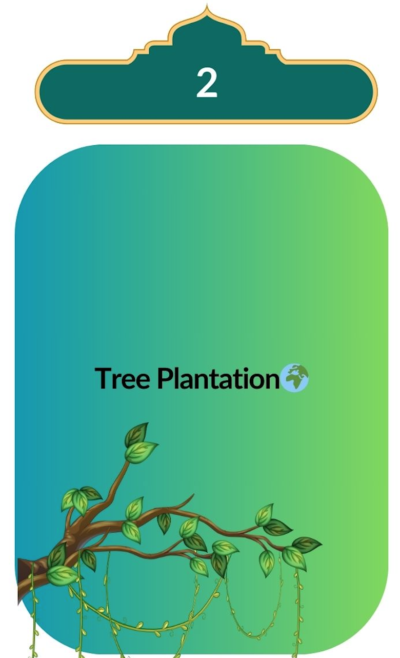 Tree Plantation