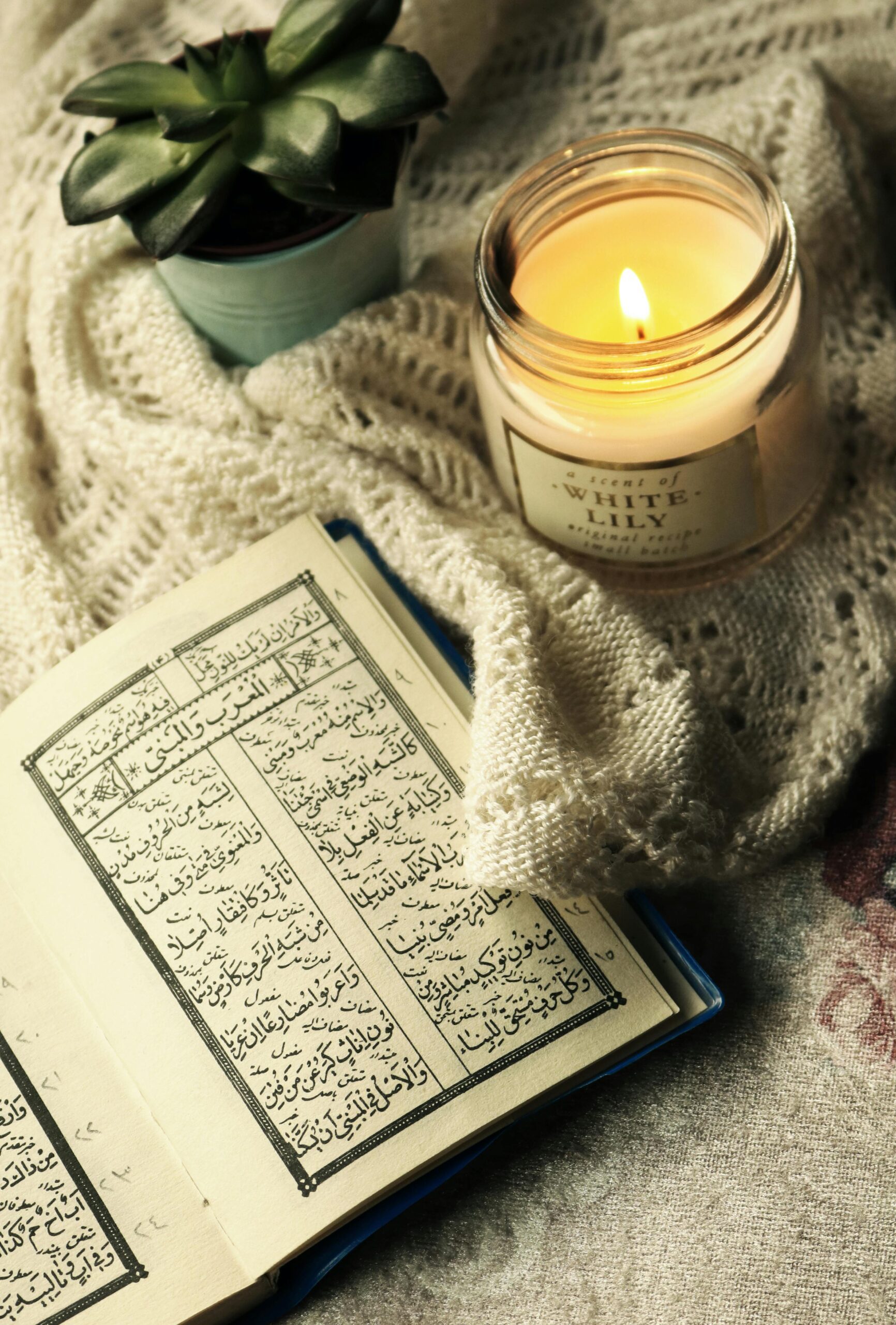 An inviting scene featuring an open Quran, a burning candle, and a houseplant on a cozy fabric.